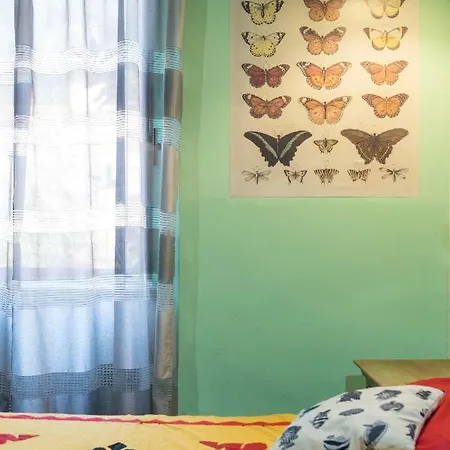 Signor Colosseo Bed & Breakfast 3*