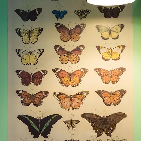 فندق مبيت وإفطار Signor Colosseo