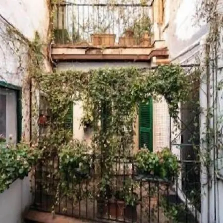 Signor Colosseo 3* Рим